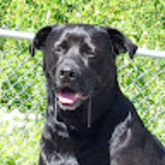 Meet your Posher, Alexandra - Picture 1 of 1